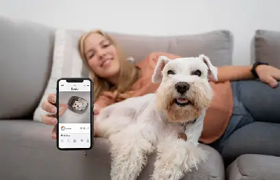 Pet Tracking App